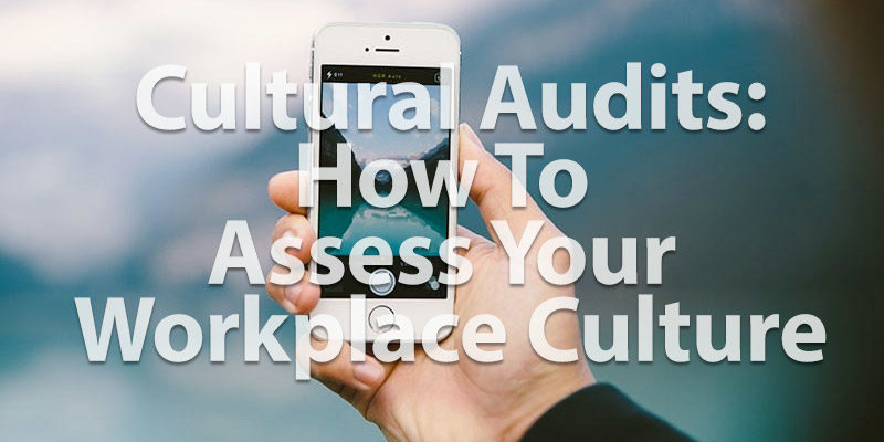 cultural-audits