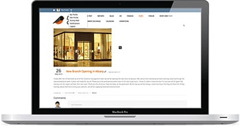 frachise intranet news