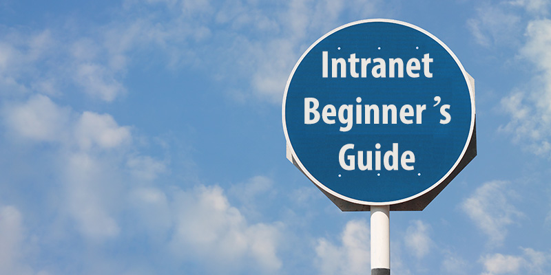 How To Create An Intranet: A Step By Step Beginner’s Guide