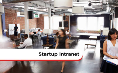 Startup Intranets: Six Reasons Why Your Company Needs One