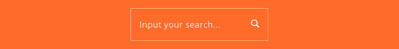 intranet search
