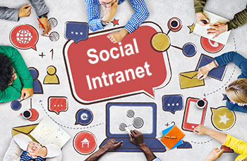 social intranet