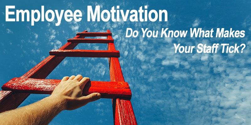 Employee Motivation: Do You Know What Makes Your Staff Tick?