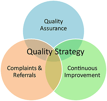 quality strategy ven diagram
