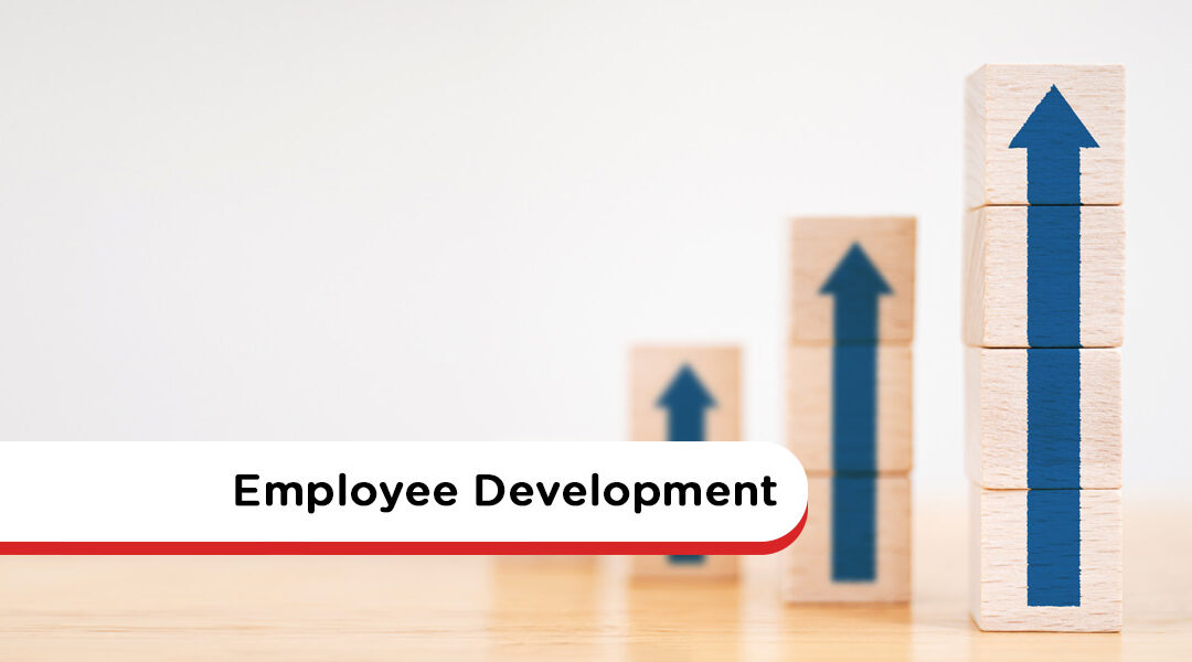 Employee Development Done Right: New Ways to Invest in Your Workforce