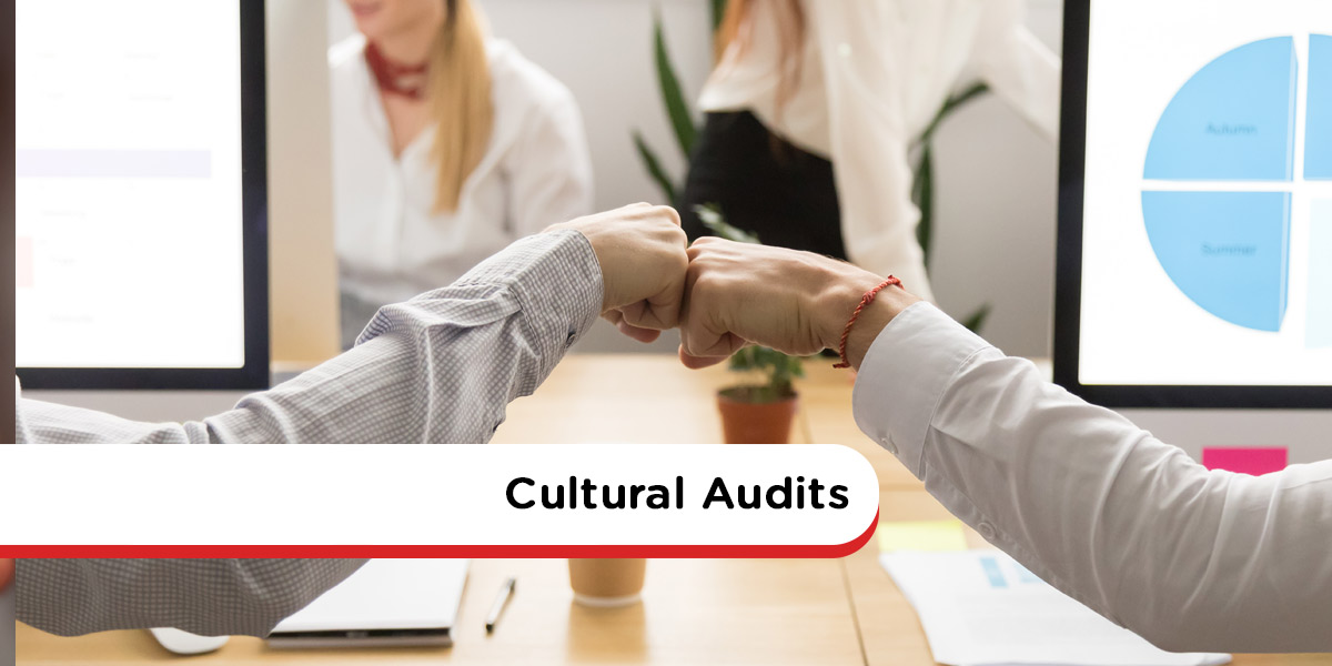 Cultural-Audits