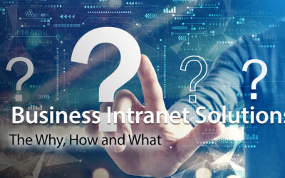 Business Intranet Solutions: The Why, How and What