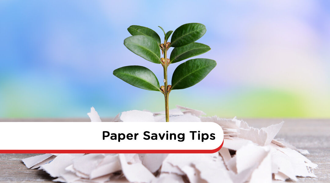 How to Save Paper: 12 Easy Tips for Efficiency and Sustainability
