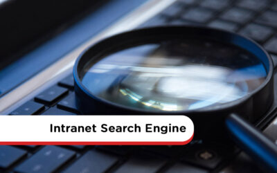 Intranet Search Engine: How To Find The Right Information Faster