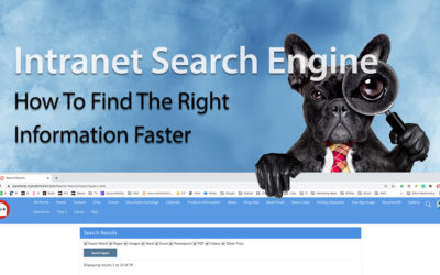 Intranet Search Engine: How To Find The Right Information Faster