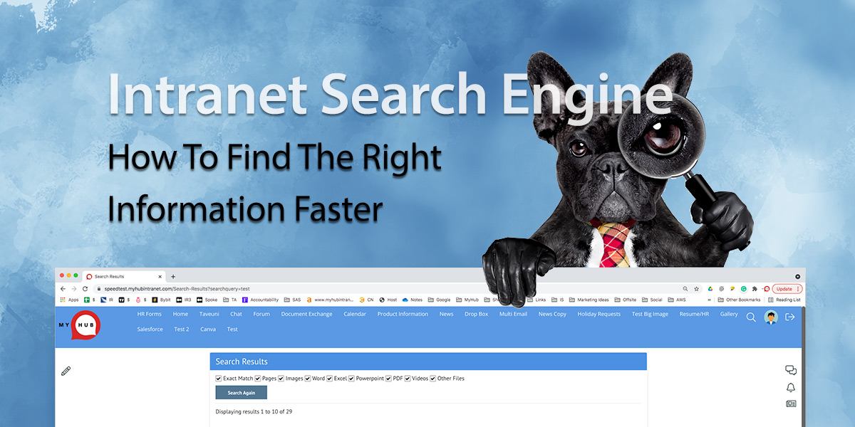 intranet search engine