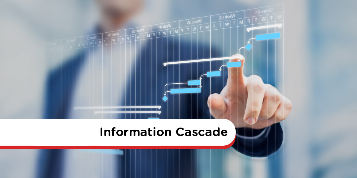 Information-Cascade